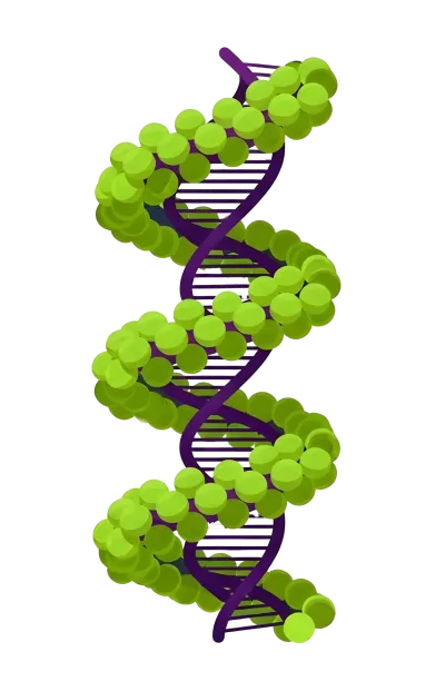 Imagen PNG para descargar